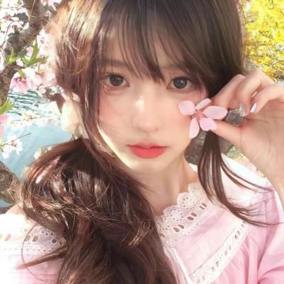 蠢狗记