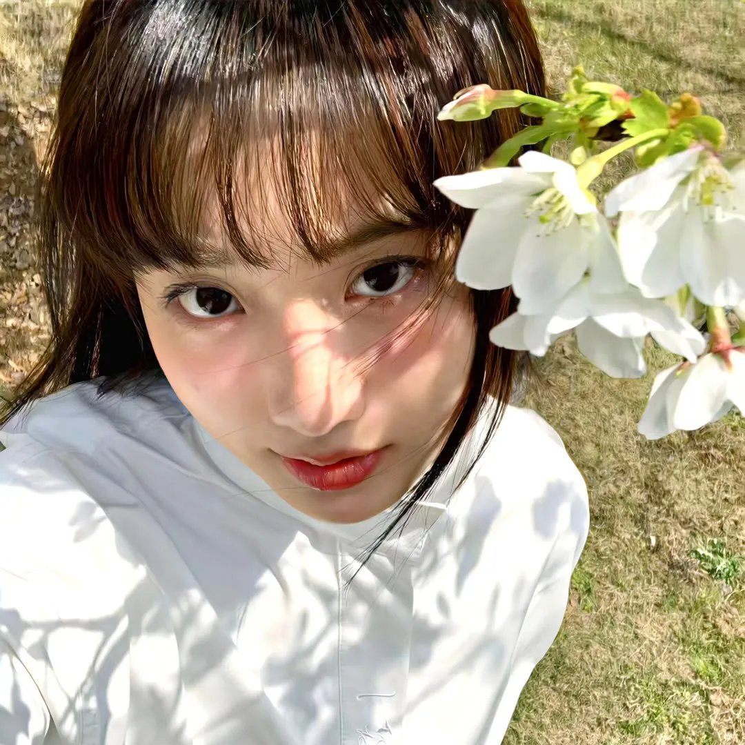 蚊子海岸