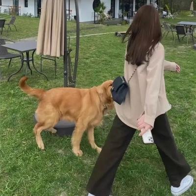 整十码